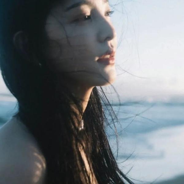 落在香杉树的雪花